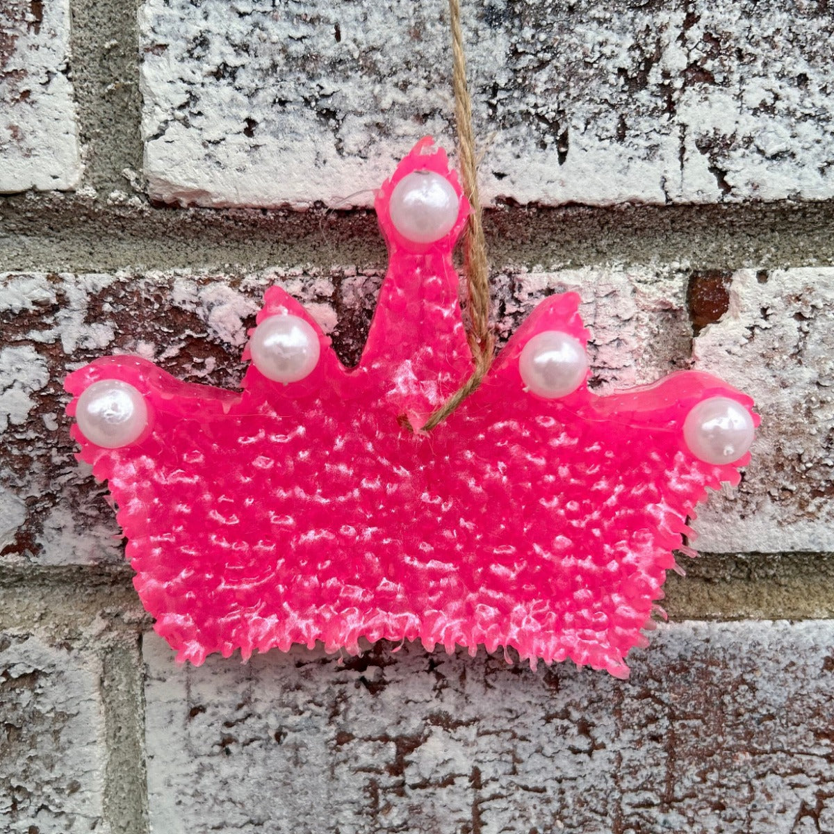 Princess Crown in Pink Freshie