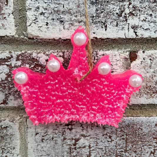 Princess Crown in Pink Freshie