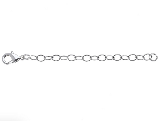 Susan Shaw Silver Plated Necklace Extender