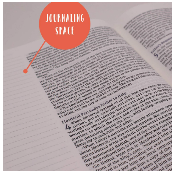 NIV Beautiful Word Bible