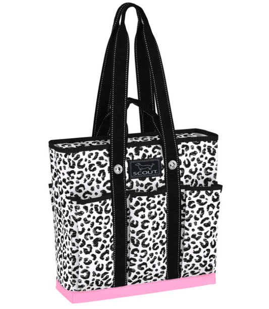 Scout Pocket Rocket - Cat Skills