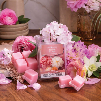 7803S Candle Warmers Blush Bloom Classic 2.5oz Wax Melt 2.5oz
