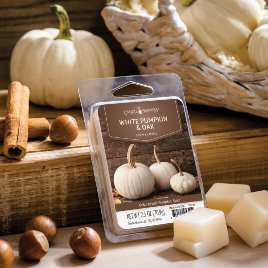 7974S Candle Warmers White Pumpkin & Oak Classic Wax Melts 2.5oz
