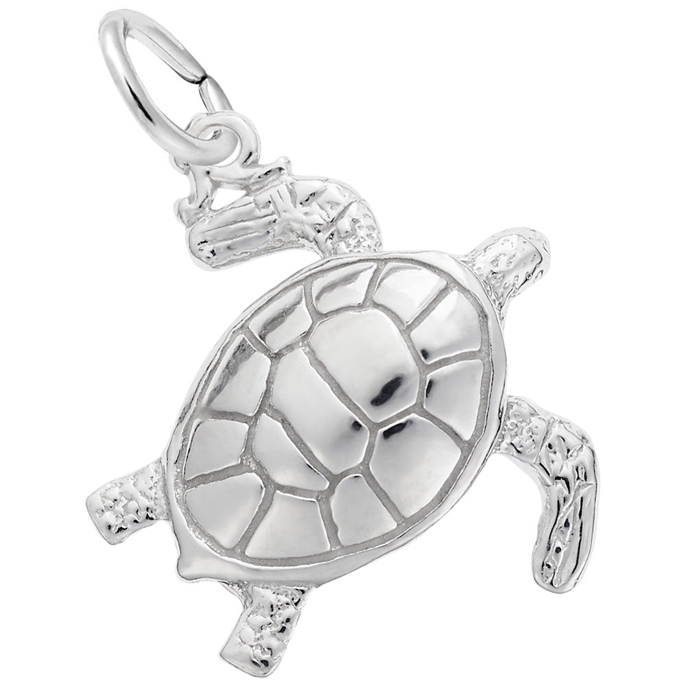Tortoise Charm - Rembrandt 