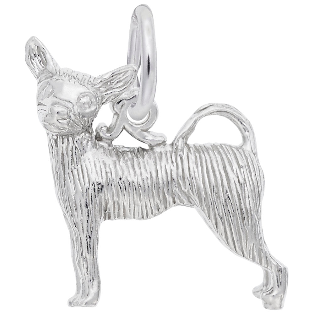 Chihuahu Dog Charm - Rembrandt