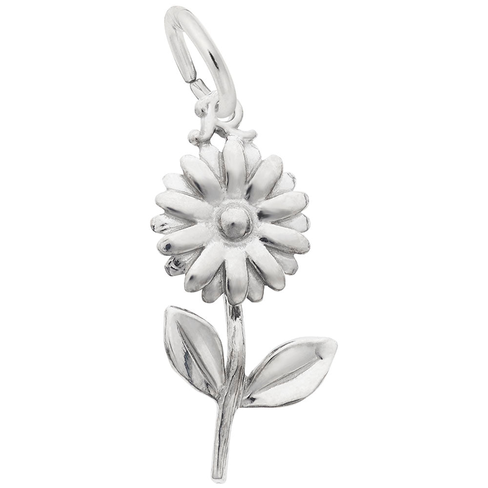 Rembrandt Daisy Charm