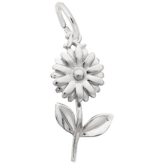 Rembrandt Daisy Charm