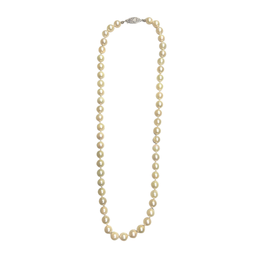 14K White Gold 7X6.5" Saltwater Pearl Necklace - 16"