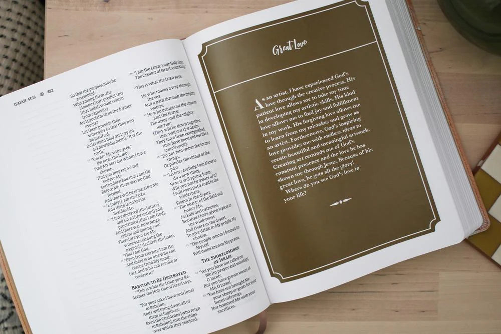 9780310461579 Harper Collins NRSVUE Holy Bible Anne Neilson