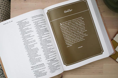 9780310461579 Harper Collins NRSVUE Holy Bible Anne Neilson