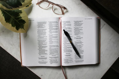 9780310461579 Harper Collins NRSVUE Holy Bible Anne Neilson