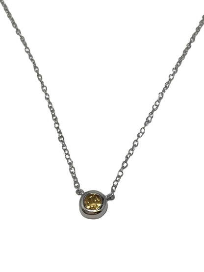 XP-829 10K White Gold 4MM Bezel Set Birthstone Necklace