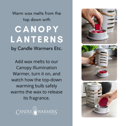 TWTRL Candle Warmers Trellis Lantern Canopy Illumination Warmer