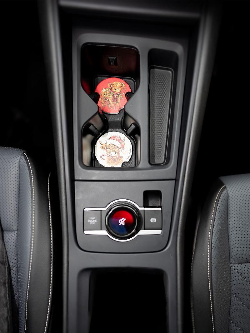 PP-0226-KIT-CC-HOL Simply Southern Water Absorbent Car Coasters