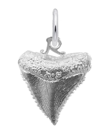 1025 Rembrandt Sterling Silver Shark Tooth Charm 0