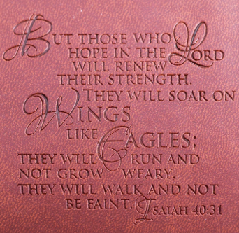 22877 Divinity Boutique Wrap Journal Wings Like Eagles with Eagle Charm 0