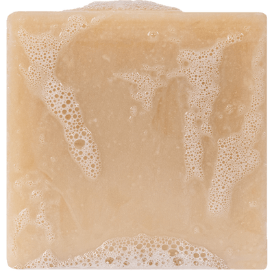 Dr. Squatch 5oz Bar Soap - Bay Rum