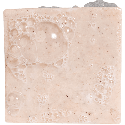 Dr. Squatch 5oz Bar Soap - Birchwood Breeze