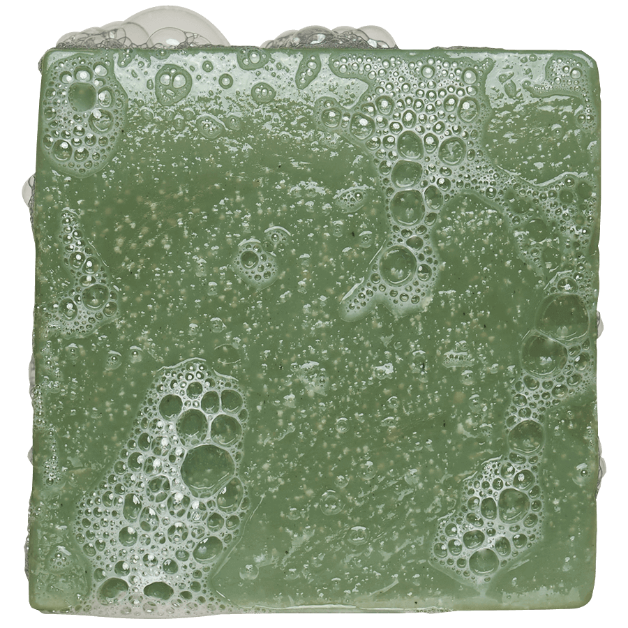 Dr. Squatch 5oz Bar Soap - Rainforest Rapids