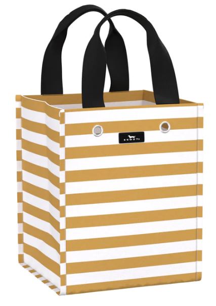 Scout Mini Package - Gold Digger