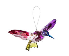 Pink & Green Hummingbird