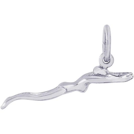 Female Swimmer Charm - Rembrandt 