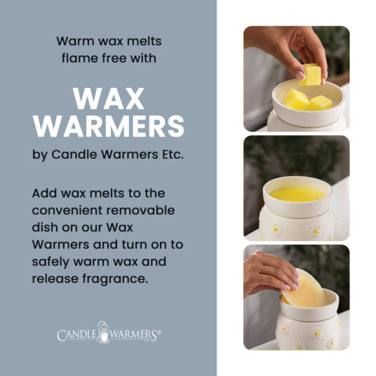 WWRUC Candle Warmers Electric Wax Warmer Ruche 0