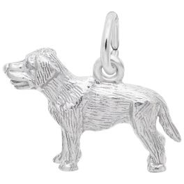Dog Labrador Charm - Rembrandt