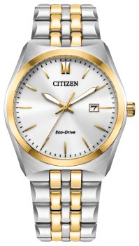 Mens Two-Tone Stainless Steel Eco-Drive Citizen Watch
