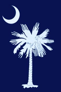 Palmetto Moon Applique Garden Flag
