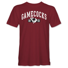 Gamecocks Arch Short Sleeve T-Shirt - Youth